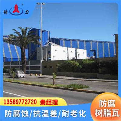 山东青岛树脂防腐瓦 合成树脂瓦 防腐隔热瓦片配件