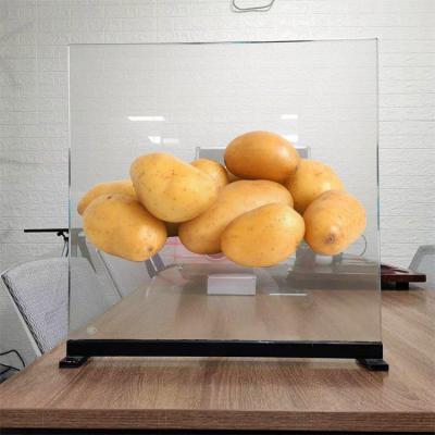 广东全息投影全息膜 橱窗玻璃膜 全息透明背投膜立体成像