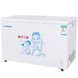 Changhong/长虹 BCD-319ATH 大冰柜 商用立式 冷藏冷冻 双温冷柜