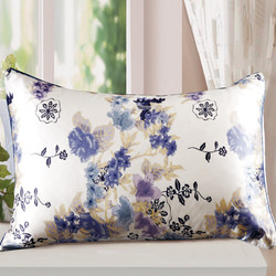 太湖雪真丝枕套 桑蚕丝丝绸枕套  桑蚕丝单面枕套包邮