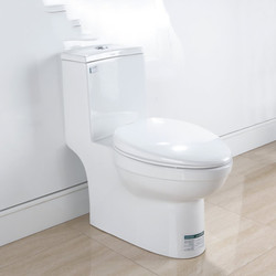 HEGII恒洁虹吸式抽水马桶节水防臭家用静音连体坐便163