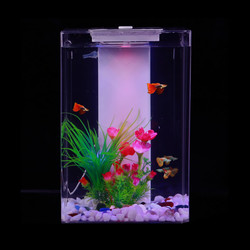 可丽爱Cleair水族箱亚克力观赏鱼缸iwish迷你方缸