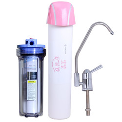 母婴款美国滨特尔EF-200MS净水器 直饮微滤厨房净水除VOC和重金属