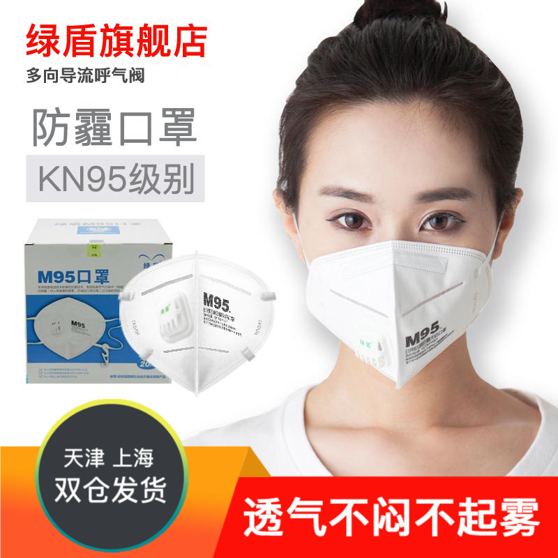 绿盾防尘口罩M95防雾霾pm2.5防工业粉尘打磨呼吸阀透气一次性男女