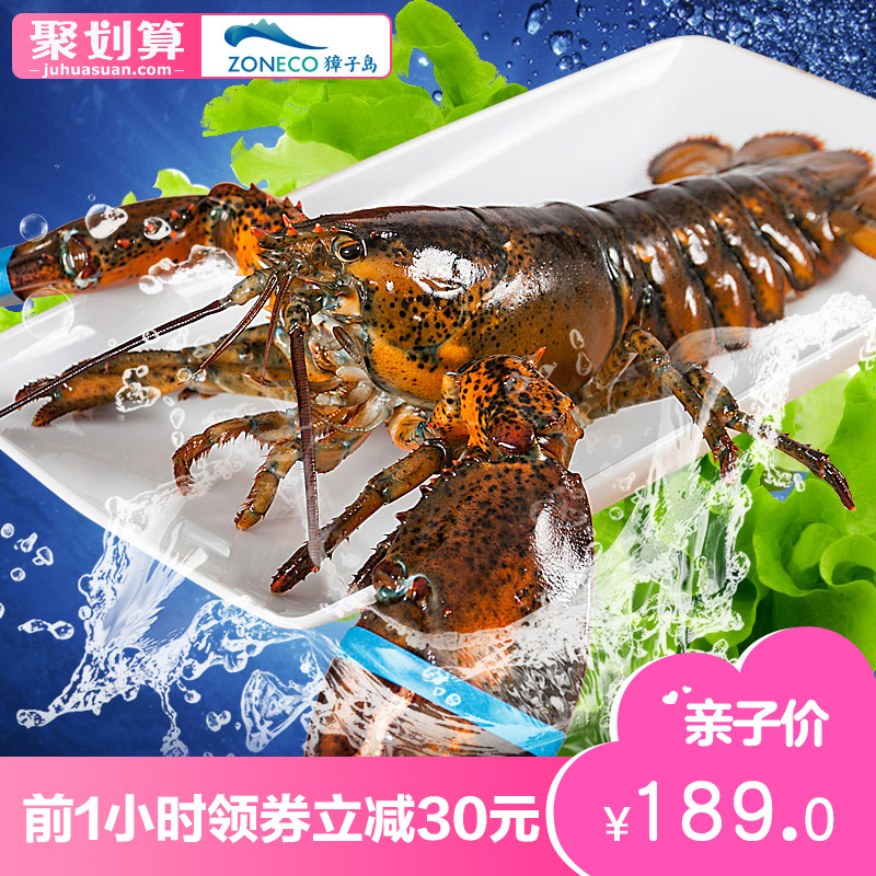獐子岛波士顿鲜活龙虾700g 加拿大进口海鲜水产大龙虾波斯顿活虾